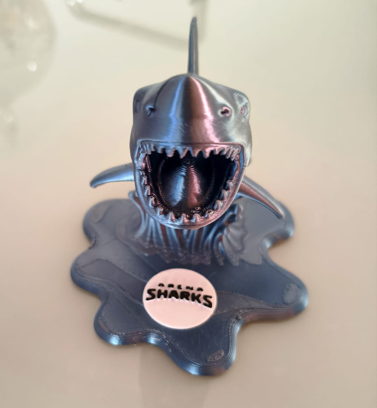 Troféu Arena Sharks, vista frontal — clique para ver mais fotos
