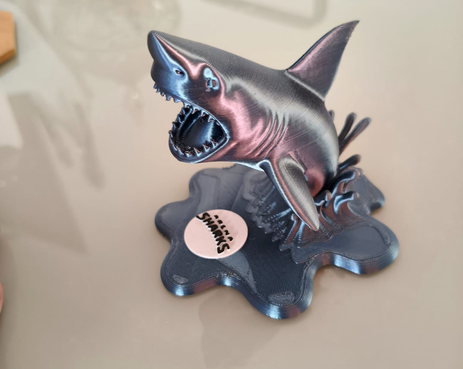 Troféu Arena Sharks, vista lateral — clique para ver mais fotos